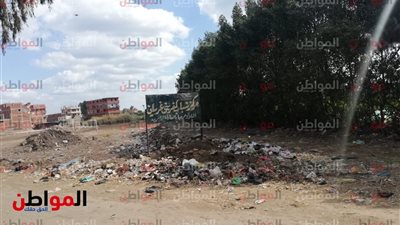 صور| «مركز شباب بني غريان».. مقلب قمامة ومأوى للكلاب الضالة