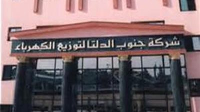 «جنوب الدلتا لتوزيع الكهرباء» تدعم التعديلات الدستورية 2019 