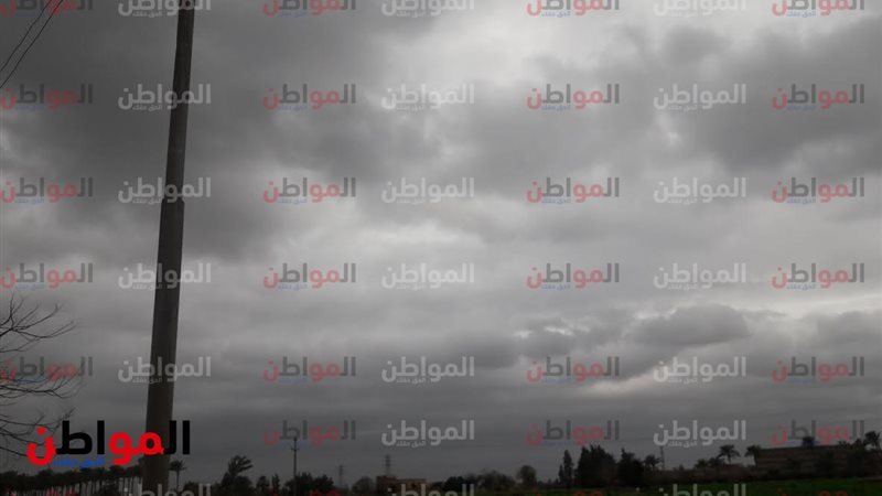 المواطن