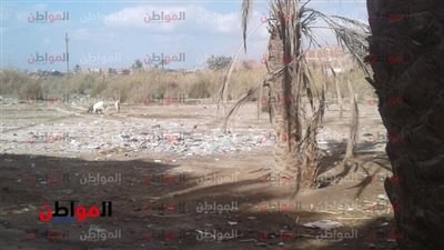 فيديو| 850 فدانًا زراعيًا مهددة بـ«البوار» بقرية تل ناروز في بني سويف