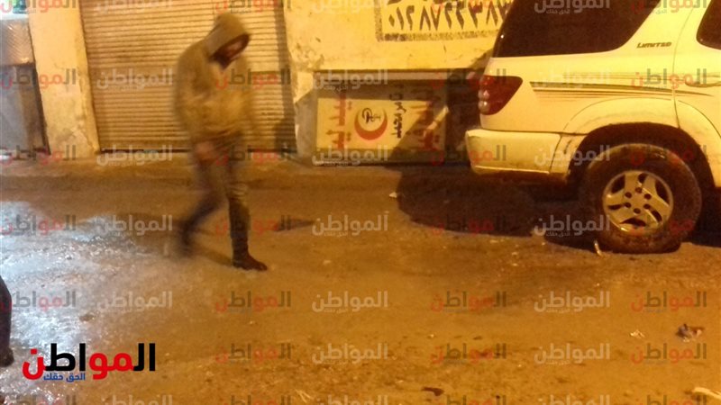 المواطن