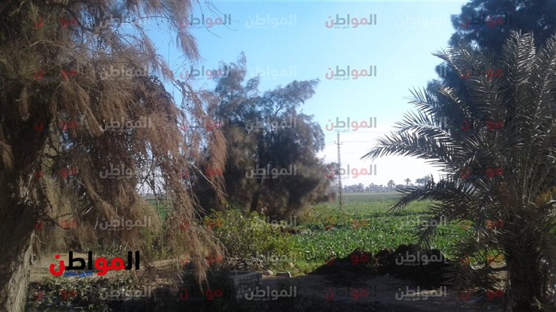 حالة الطقس اليوم