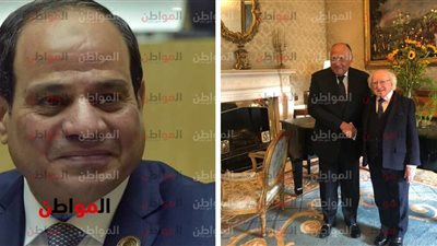 لقاءات جادة ومثيرة لمصر قبل القمة العربية الأوروبية 