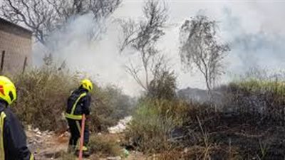 بسبب سجارة.. النيران تلتهم مزرعة الصرف الصحي في أخميم