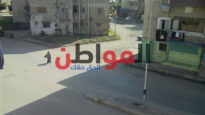صور| طقس مشمس معتدل اليوم بكافة انحاء بورسعيد