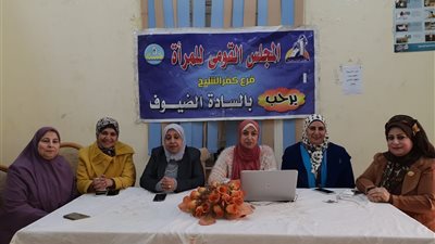 صور| «أهمية تنظيم الأسرة» ندوة بقومي المرأة بكفر الشيخ