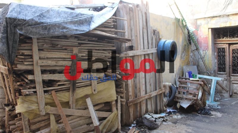 المواطن