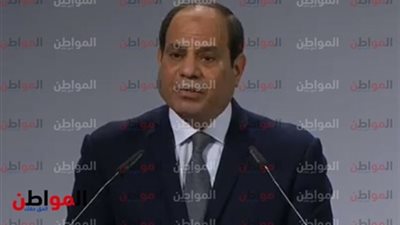السفير الكاميرونى: الرئيس السيسي «رجل أفعال»