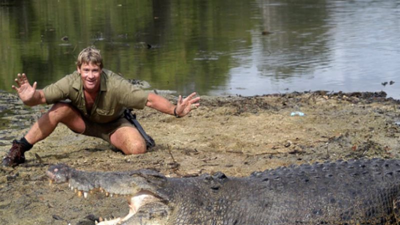  steve irwin