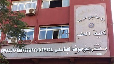 بالأسماء.. إصابة 7 أشخاص في انقلاب سيارة ببني سويف