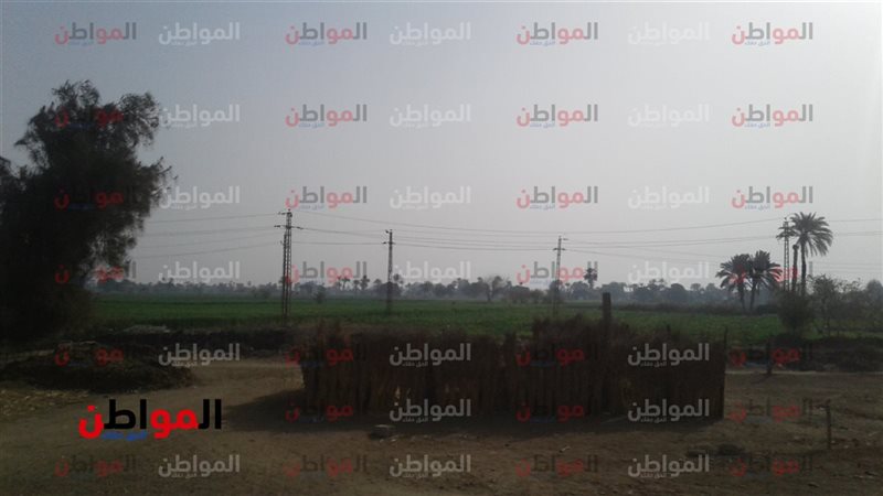 حالة الطقس ببني سويف