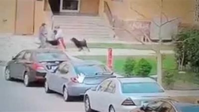  توقعات بـ 3 سنوات حبس للمتهم في قضية «طفل مدينتي»