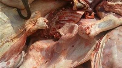 كثافة تموينية لمراقبة جرائم الغش التجاري بالأسواق 