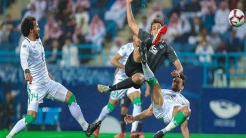 المواطن