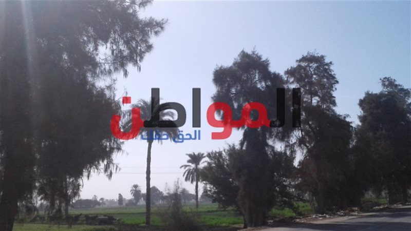  درجات الحرارة اليوم