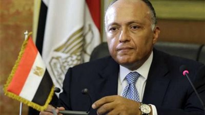 سامح شكرى: رفعنا معدلات التنمية من أجل حقوق الإنسان 