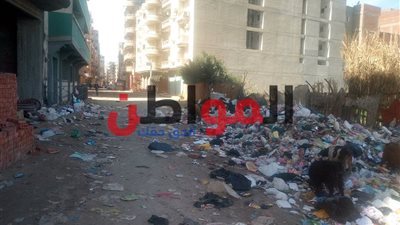 فيديو| أكوام القمامة تحاصر منطقة الفكرية بدمنهور.. الأهالي:«ارحمونا»