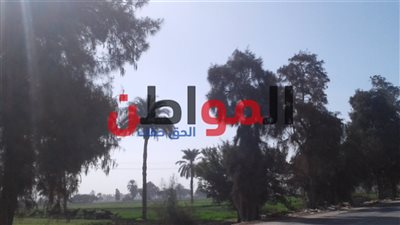 تعرف على درجات الحرارة اليوم الأربعاء ببني سويف