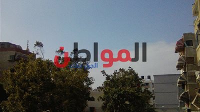 صور| طقس بارد ورياح محملة بالأتربة تسود محافظة بورسعيد