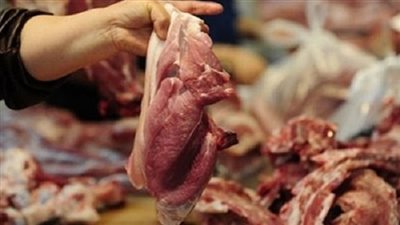 ضبط 1.750 طن لحوم فاسدة في وسط الإسكندرية