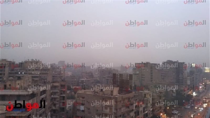 المواطن