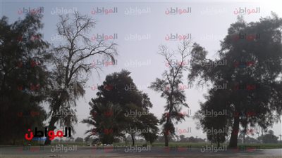 تعرف على درجات الحرارة اليوم ببني سويف 