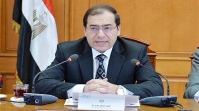 الملا يبحث مع وزير الأعمال الروماني سبل التعاون الاقتصادي والعلمي
