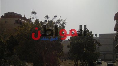 استمرار انخفاض درجات الحرارة ببورسعيد اليوم الخميس