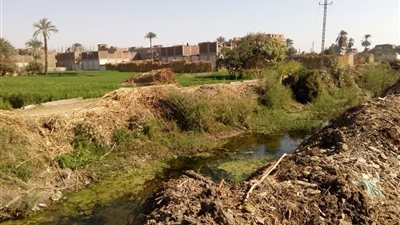 فيديو| انقطاع المياه عن الترع والمصارف بسوهاج يهدد المحاصيل الزراعية