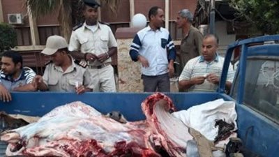 ضبط 86 قضية تموينية متنوعة بسوهاج