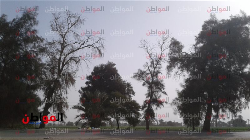 هيئة الأرصاد الجوية