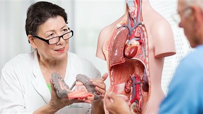 من هنا.. اعرف أشهر أطباء الباطنة بالإسكندرية