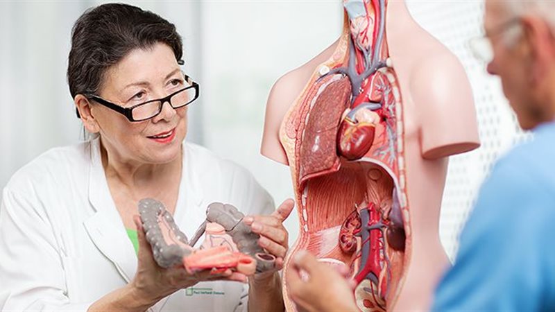 أشهر أطباء الباطنة