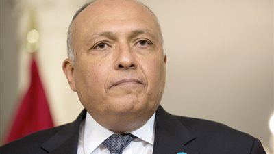  وزير الخارجية يلتقى مبعوث الرئيس الكيني بالقاهرة