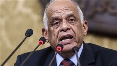 فيديو| عبد العال: مصر تكافح من أجل سلام عادل للفلسطينيين