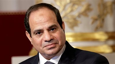 السيسي يبحث دعم التكامل الإقليمي والربط الكهربائي في القارة الأفريقية