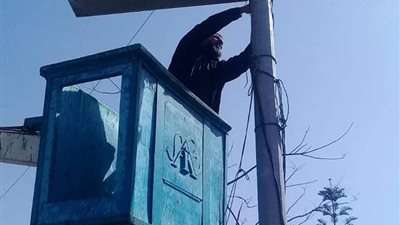 حى العجمى بـ الإسكندرية يستعد لـ كأس الأمم الأفريقية 2019
