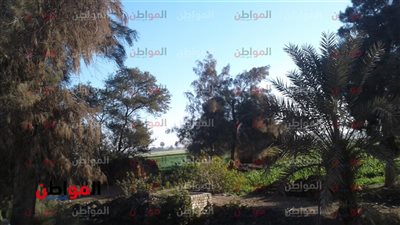 «الشمس ساطعة» ضمن أحوال الطقس ببني سويف اليوم الأحد