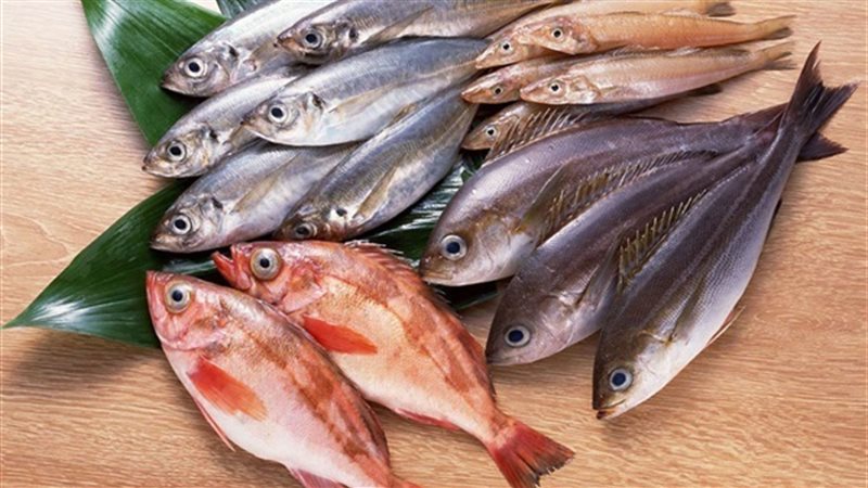 أسعار السمك  في سوق