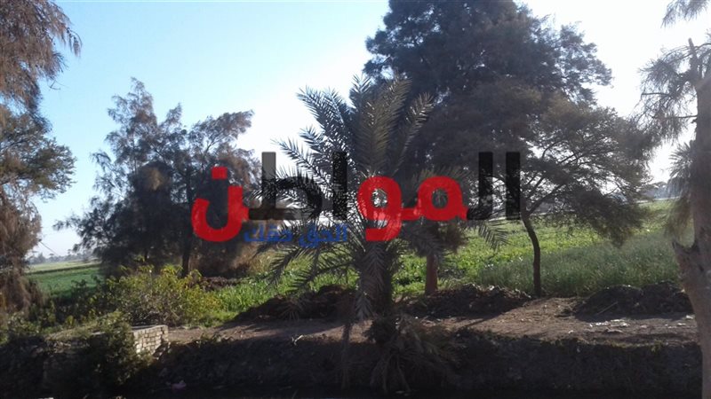 استقرار الأحوال الجوية-محافظة
