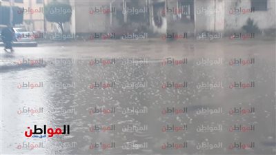 صور| الطقس الآن ببورسعيد : برودة شديدة وأمطار غزيرة 