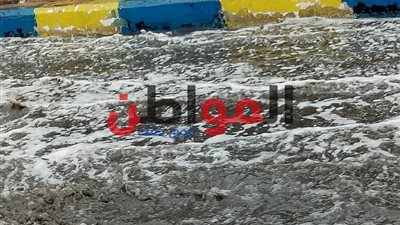 الطقس الآن بالإسماعيلية.. أمطار متفرقة وانخفاض درجات الحرارة