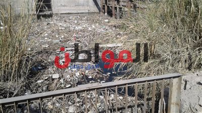 أهالي بني سويف يستغيثون من انتشار الروائح الكريهة بكوبري الصحة