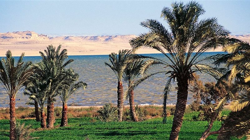 حالة الطقس-درجات