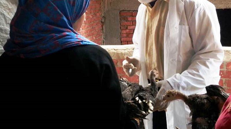 مديرية الطب البيطري