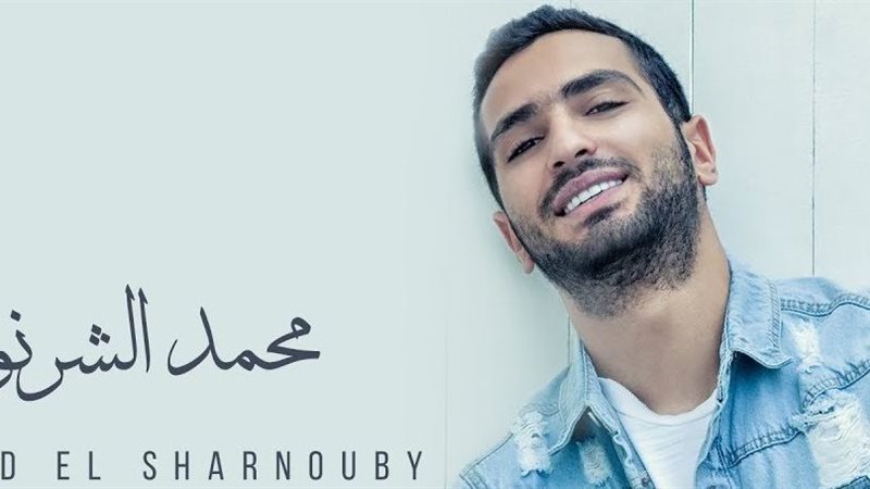 محمد الشرنوبي