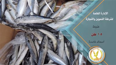 فيديو| ضبط 15 طن أسماك فاسدة.. أبرز جهود أجهزة الأمن