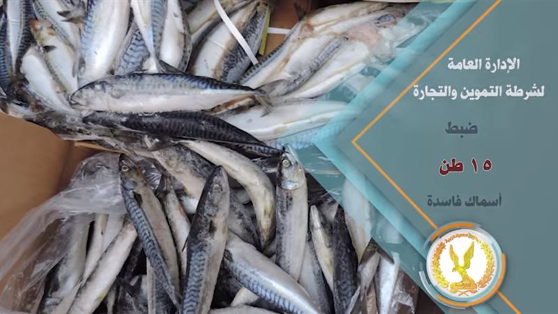 ضبط 15 طن أسماك فاسدة