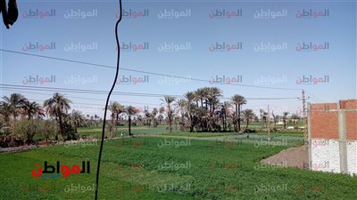 اعتدال الطقس الآن بالفيوم.. ومخاوف من التغيرات