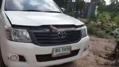 إيه اللي جابك هنا؟ .. سيدة تتفاجأ بهذا الشيء في سيارتها 